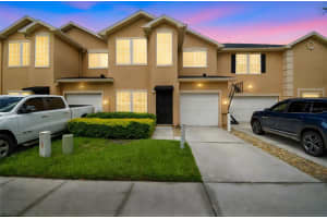6234 ASHBURY PALMS DRIVE, TAMPA, FL 33647 Sold 06/30/25