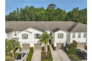 17834 ALTHEA BLUE PLACE, LUTZ, FL 33558 Sold 09/05/25