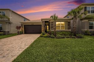 3318 Woodland Brook Way, WESLEY CHAPEL