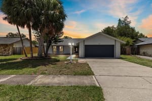 6509 W Longboat Blvd, TAMPA