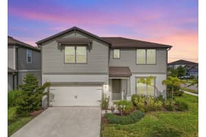 13157 Peachleaf Ave, RIVERVIEW