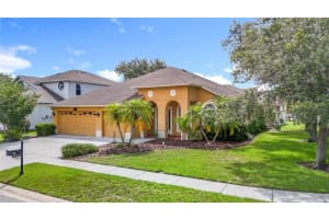 3824 Duke Firth St, LAND O LAKES