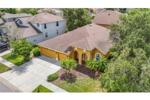 3824 DUKE FIRTH STREET, LAND O LAKES, FL 34638 - MLS#MFRTB8395115