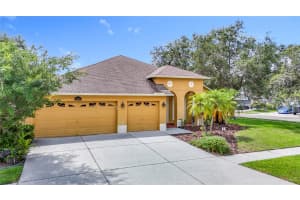 3824 DUKE FIRTH STREET, LAND O LAKES, FL 34638 - MLS#MFRTB8395115