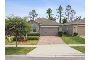 1553 AMBER LEAF CIRCLE, OCOEE, FL 34761 - MLS#MFRTB8395191