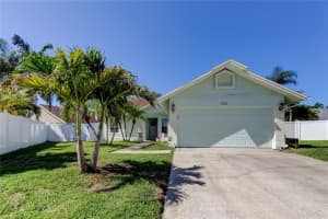 12004 Plantain Ct, TAMPA