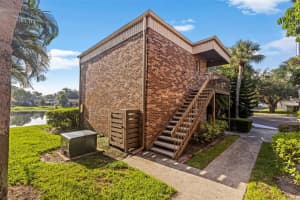 10423 Carrollbrook Cir #203, TAMPA