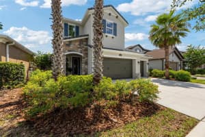 3532 WICKET FIELD ROAD, LUTZ, FL 33548 - MLS#MFRTB8395325