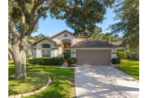 2043 WRANGLER DRIVE, BRANDON, FL 33511 - MLS#MFRTB8395369
