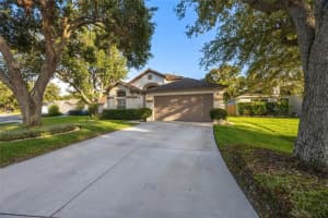 2043 WRANGLER DRIVE, BRANDON, FL 33511 - MLS#MFRTB8395369