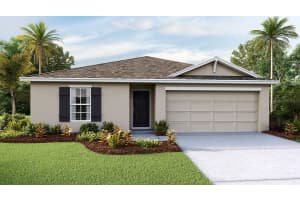 3071 Pink Gerbera Sq, PLANT CITY