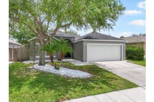 24841 Mary Beth Ct, LAND O LAKES