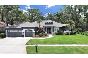 15024 Eaglepark Pl, LITHIA