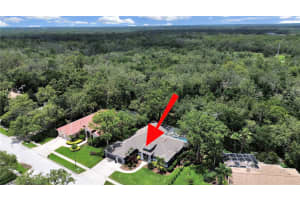 15024 EAGLEPARK PLACE, LITHIA, FL 33547 - MLS#MFRTB8395421