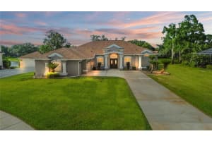1313 Oxbridge Dr, LUTZ