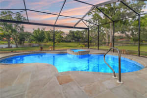 1313 OXBRIDGE DRIVE, LUTZ, FL 33549 - MLS#MFRTB8395479