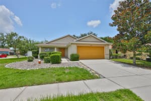 11415 Bright Star Ln, RIVERVIEW