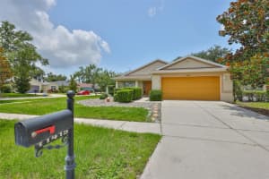 11415 BRIGHT STAR LN, RIVERVIEW, FL 33569 - MLS#MFRTB8395500