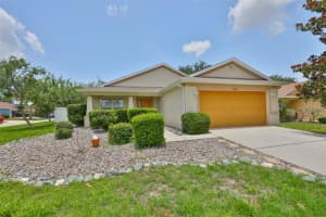 11415 BRIGHT STAR LN, RIVERVIEW, FL 33569 - MLS#MFRTB8395500