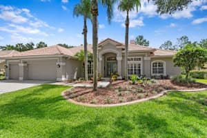 17818 Arbor Greene Dr, TAMPA