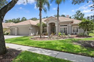 17818 ARBOR GREENE DRIVE, TAMPA, FL 33647 - MLS#MFRTB8395510
