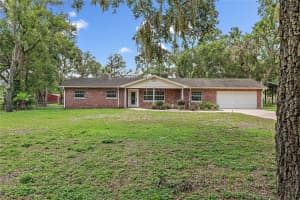 11029 Clay Pit Rd, TAMPA