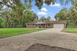 11029 CLAY PIT ROAD, TAMPA, FL 33610 - MLS#MFRTB8395573