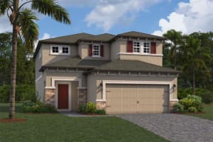 , ZEPHYRHILLS