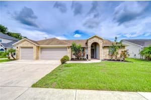 4211 Elba Pl, VALRICO