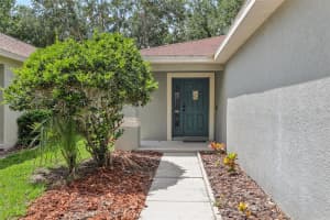 11708 CREST CREEK DRIVE, RIVERVIEW, FL 33569 - MLS#MFRTB8395598