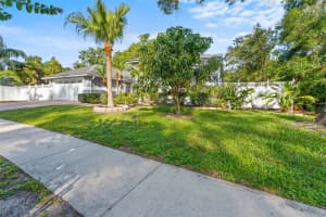 15123 BALD EAGLE STREET, TAMPA, FL 33625 - MLS#MFRTB8395603