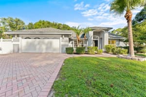 15123 BALD EAGLE STREET, TAMPA, FL 33625 - MLS#MFRTB8395603