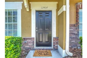 12464 BERKELEY SQUARE DRIVE, TAMPA, FL 33626 - MLS#MFRTB8395677