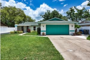17824 MORNINGHIGH DRIVE, LUTZ, FL 33549 Sold 07/18/25