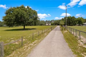 31949 AMBERLEA RD, DADE CITY, FL 33523 - MLS#MFRTB8395739