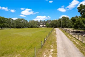 31949 AMBERLEA RD, DADE CITY, FL 33523 - MLS#MFRTB8395739