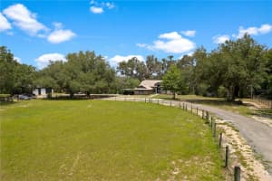 31949 AMBERLEA RD, DADE CITY, FL 33523 - MLS#MFRTB8395739