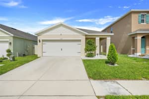 1335 BERRY LANE, DAVENPORT, FL 33837 - MLS#MFRTB8395769