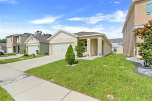 1335 BERRY LANE, DAVENPORT, FL 33837 - MLS#MFRTB8395769