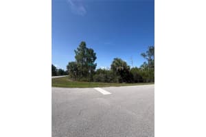 14114 CARNEY AVENUE, PORT CHARLOTTE, FL 33953 - MLS#MFRTB8395778