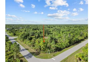 14114 CARNEY AVENUE, PORT CHARLOTTE, FL 33953 - MLS#MFRTB8395778