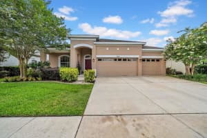 32624 SUMMERGLADE DRIVE, WESLEY CHAPEL, FL 33545 - MLS#MFRTB8395789