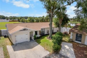 10202 Bellhurst Ct, TAMPA