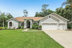 10113 BELL CREEK DRIVE, RIVERVIEW, FL 33569 Sold 08/07/25