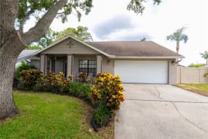 15028 REDCLIFF DRIVE, TAMPA, FL 33625 - MLS#MFRTB8395886