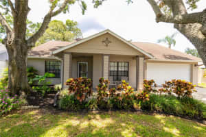 15028 REDCLIFF DRIVE, TAMPA, FL 33625 - MLS#MFRTB8395886