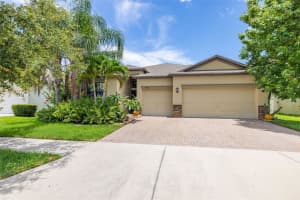 9860 SMARTY JONES DRIVE, RUSKIN, FL 33573 - MLS#MFRTB8395903