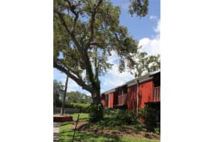 8220 12TH WAY, ST PETERSBURG, FL 33702 - MLS#MFRTB8395927