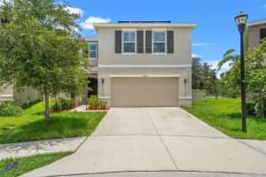 10823 Trailing Vine Dr, TAMPA