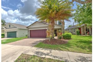 10081 SAGE CREEK DRIVE, SUN CITY CENTER, FL 33573 - MLS#MFRTB8395962